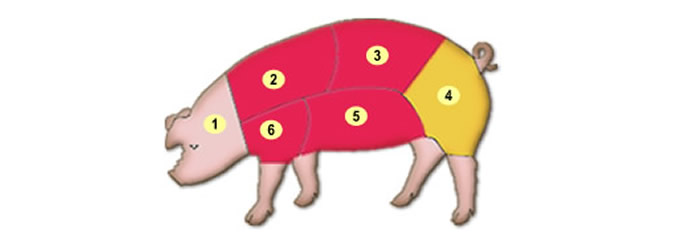 cortes do porco